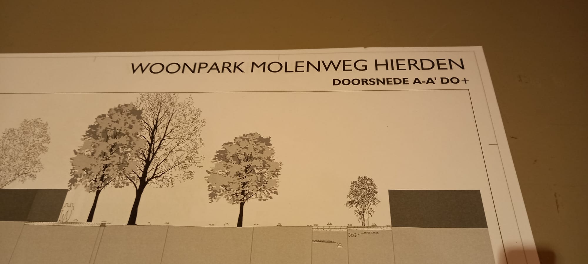 plan-molenweg